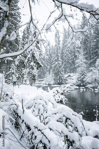 Mesmerizing view of a Aamata river surrounded by beautiful snow-covered trees, Latvian nature, winter in forest