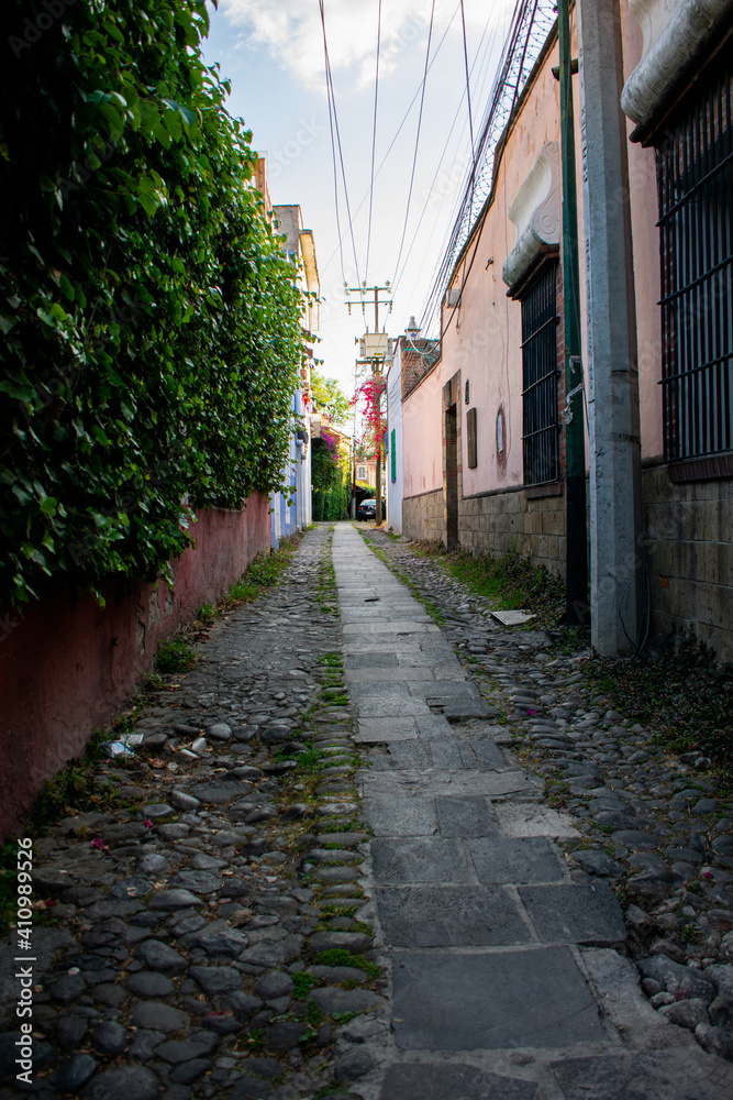 Colorful Hispanic houses and trees in alleys from Mexico City
