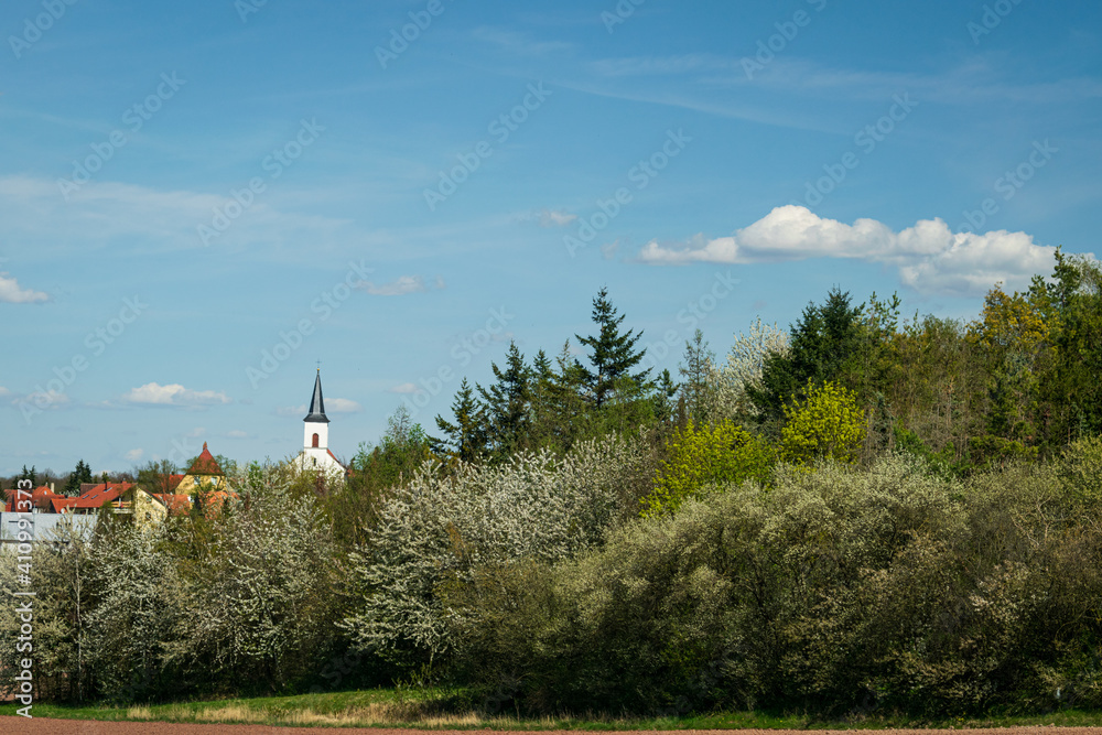 Fototapeta premium church in the mountains