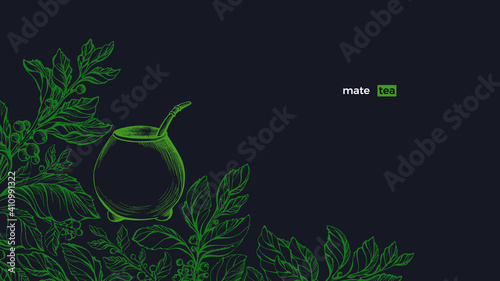 Yerba mate. Green plant set, calabash. Vector bush