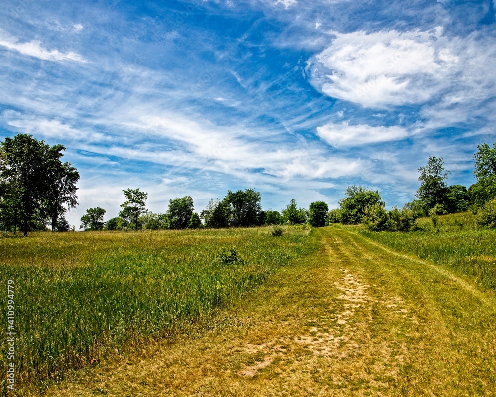 Obraz premium Orion Oaks Trail