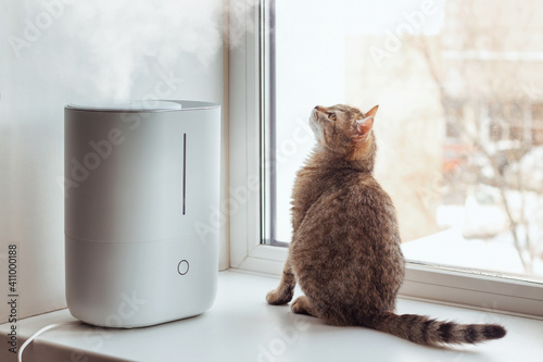 Canvas Print A young tabby cat sits on the windowsill and looks at the steam from the white air humidifier