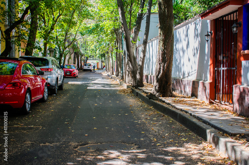 Hispanic houses and row of trees in street from Mexico City