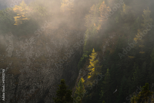 Cold morning in the mountains