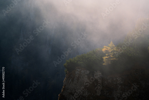 Cold morning in the mountains