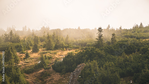 Cold morning in the mountains