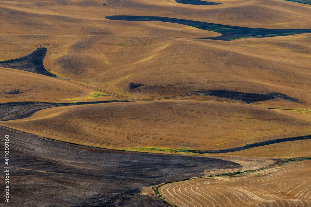 Fototapeta premium Autumn Fields in the Palouse