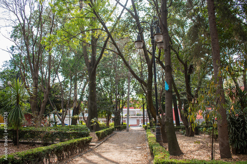 Peaceful park with trees and bushes in Mexico City © Christian