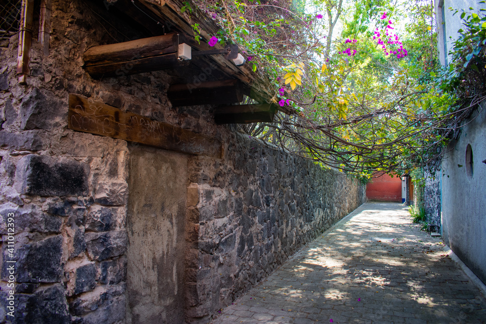 Stone wall in alley from Mexico City with plants as background