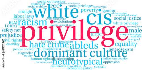 Privilege Word Cloud on a white background.