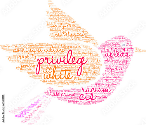 Privilege Word Cloud on a white background.