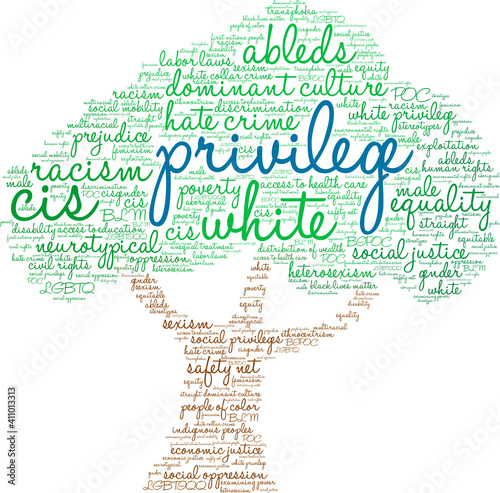 Privilege Word Cloud on a white background.