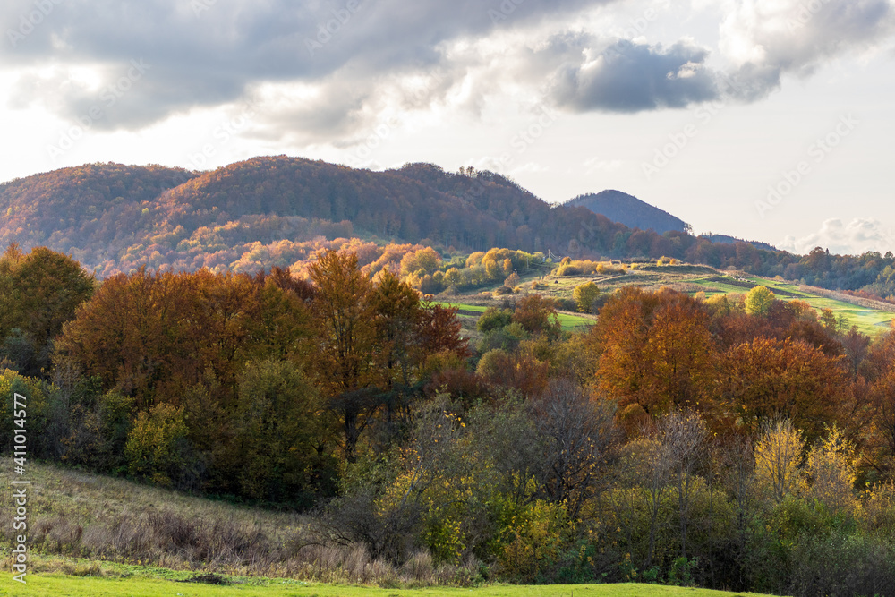 Autumn mountain landscape - yellowed and reddened autumn trees combined with green needles and blue skies. Colorful autumn landscape scene in the Ukrainian Carpathians. Panoramic view.