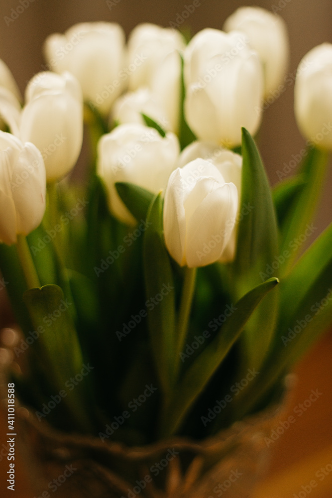 Fototapeta premium white flowers tulips in a vase