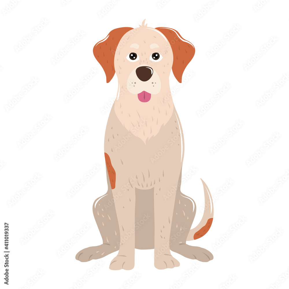 Obraz premium pet big dog animal sitting on white background