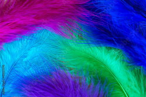 decorative cold colored bird feathers, horizontal close up view