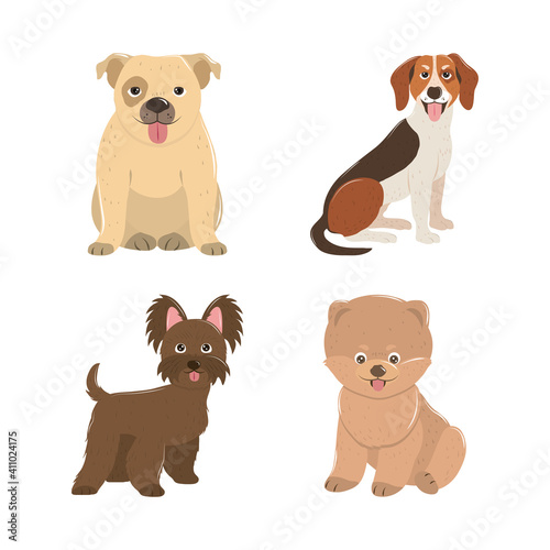pets dogs puppy little animals domestic canine