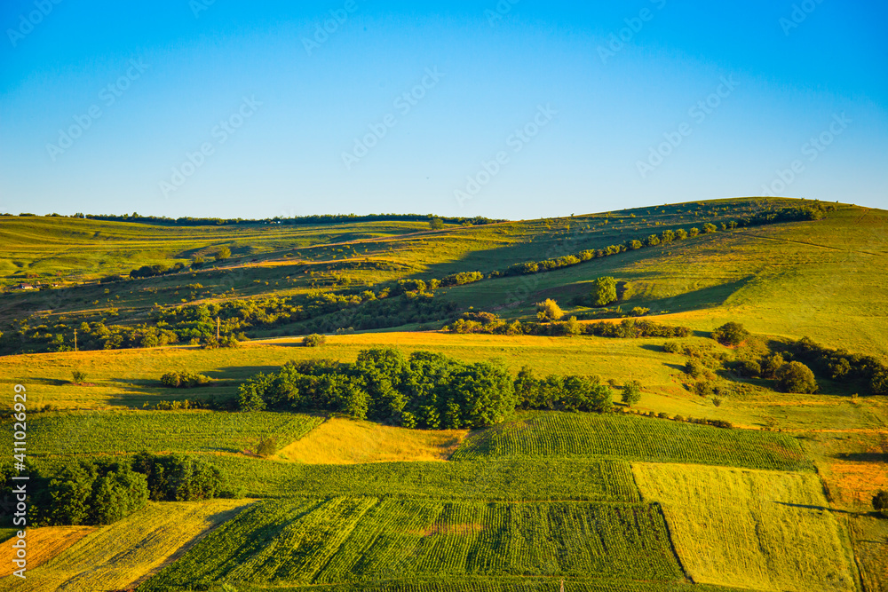 Fototapeta premium Green meadow with farmlands , natural landscape in the summer sunset near Tatgu Mures. Romania