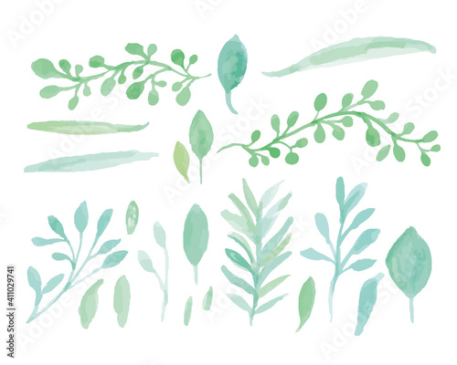 水彩タッチの色々な種類の手書き草木　Greenery elements,vintage nature botanical collection. Vector illustrations