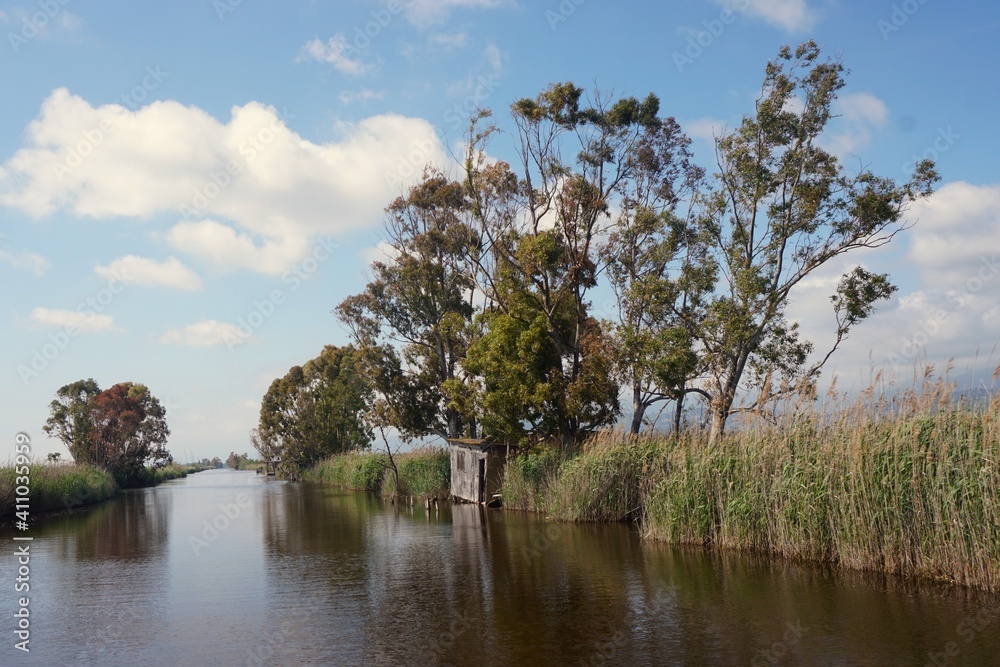 Fototapeta premium Massaciuccoli