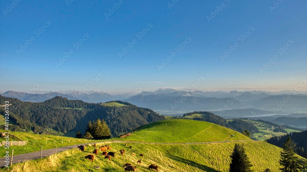 View of Alp Scheidegg and the mountains of Glarus. Picture taken in the Zurich Oberland