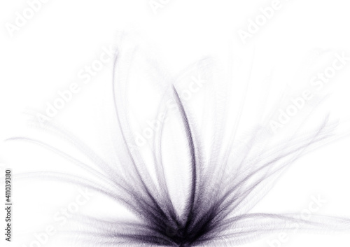 abstract white flower