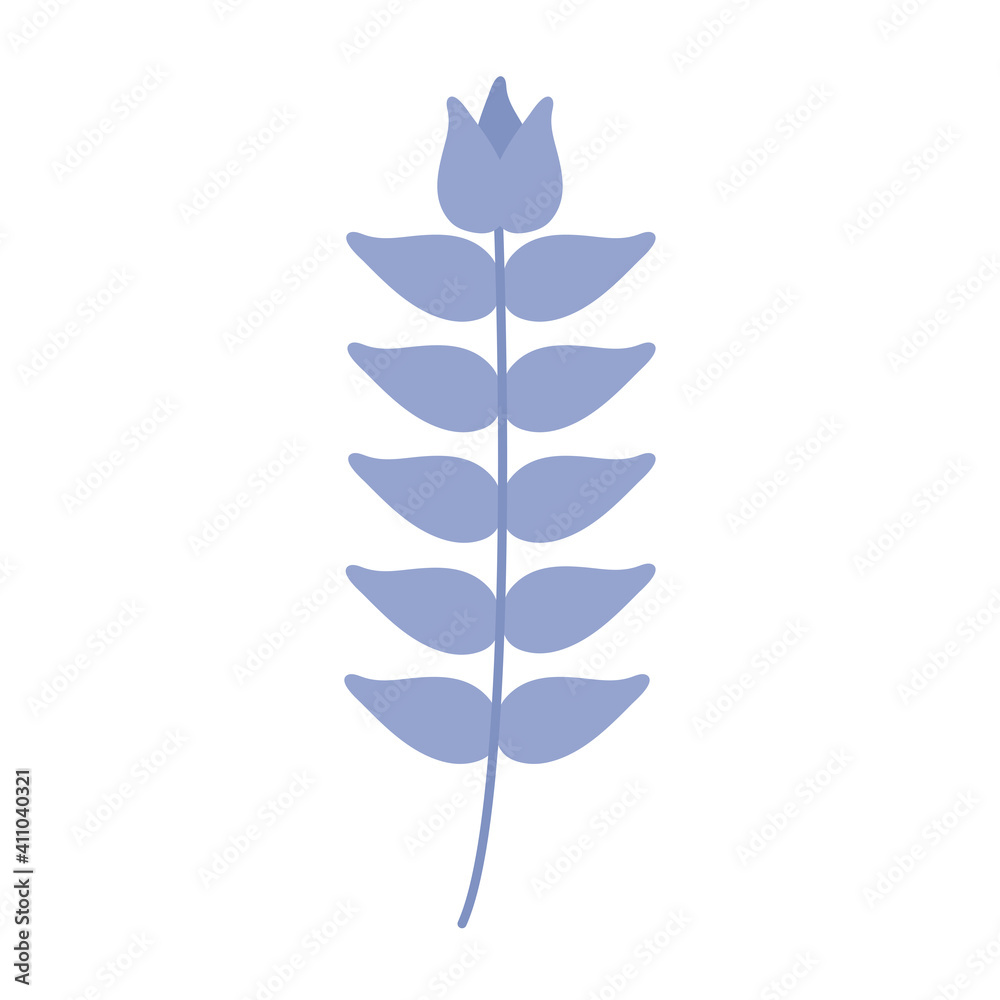 Fototapeta premium flower with a blue color