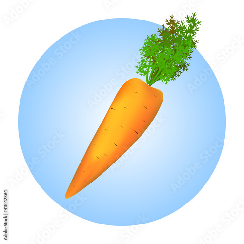 Orange carrot on a blue circle in white background.