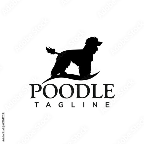 Poodle dog