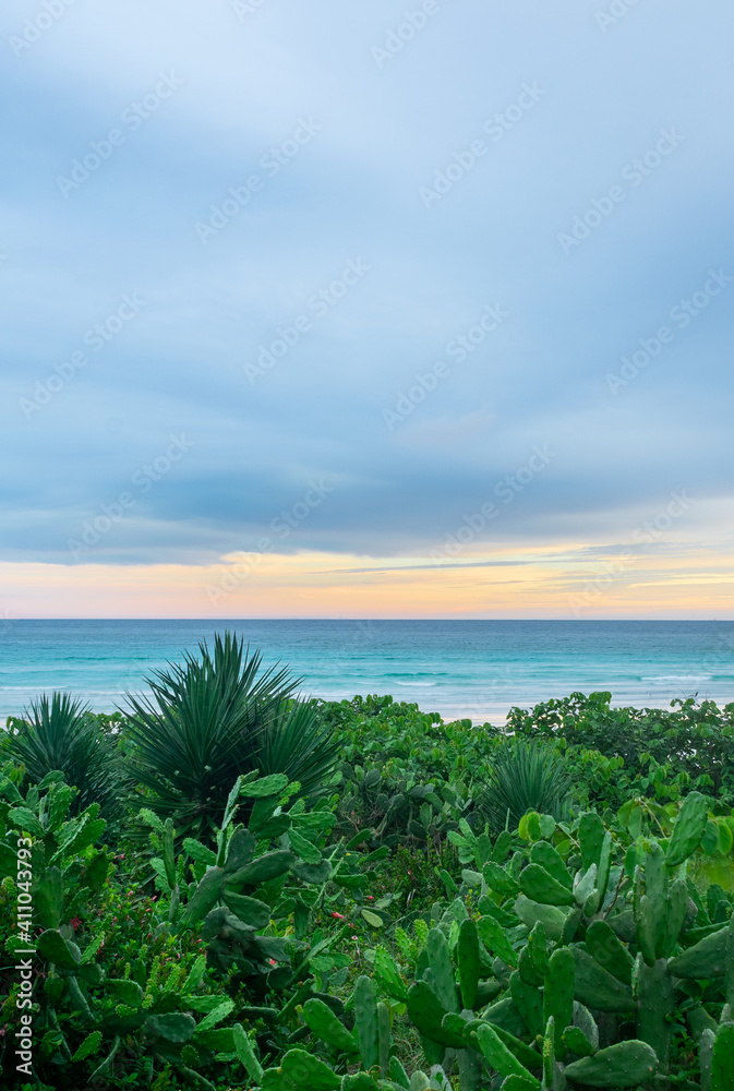 beach with tropical vegetation at sunset