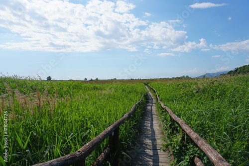 Massaciuccoli