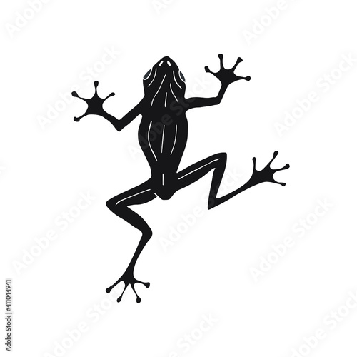 Vector hand drawn doodle sketch black frog isolated on white background