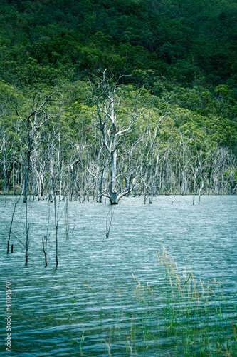 The Hinze Dam is a rock and earth-fill embankment dam with an un-gated spillway across the Nerang River in the Gold Coast hinterland of South East, Queensland, Australia.