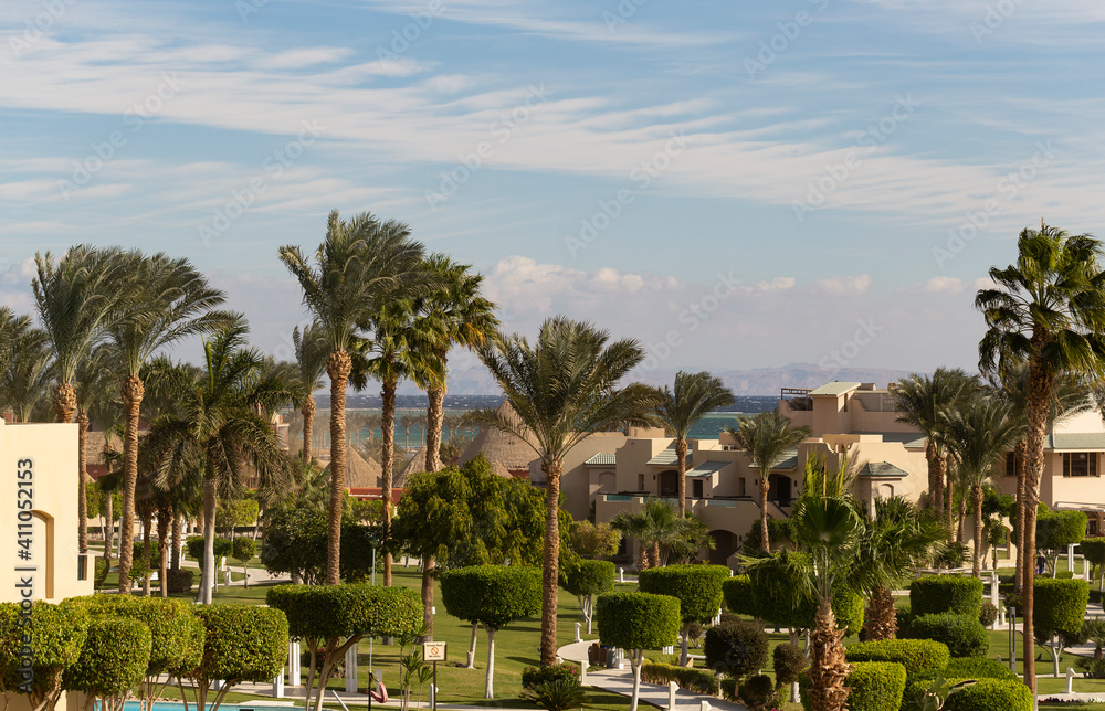 Fototapeta premium Park recreation areas of Egypt. Garden and landscape design.