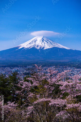 mountain and blossoms - Mount Fuji in Japan 