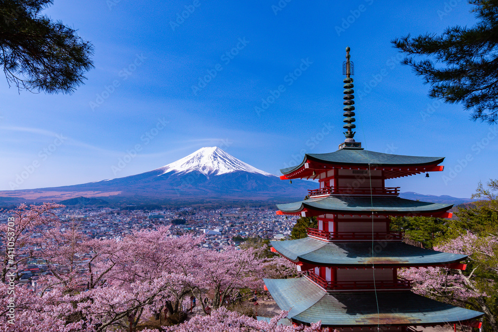 Fototapeta mountain and blossoms - Mount Fuji in Japan