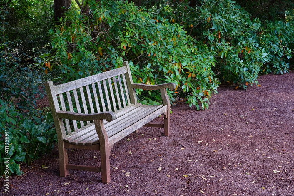 A wooden bench on a gravel path in a garden