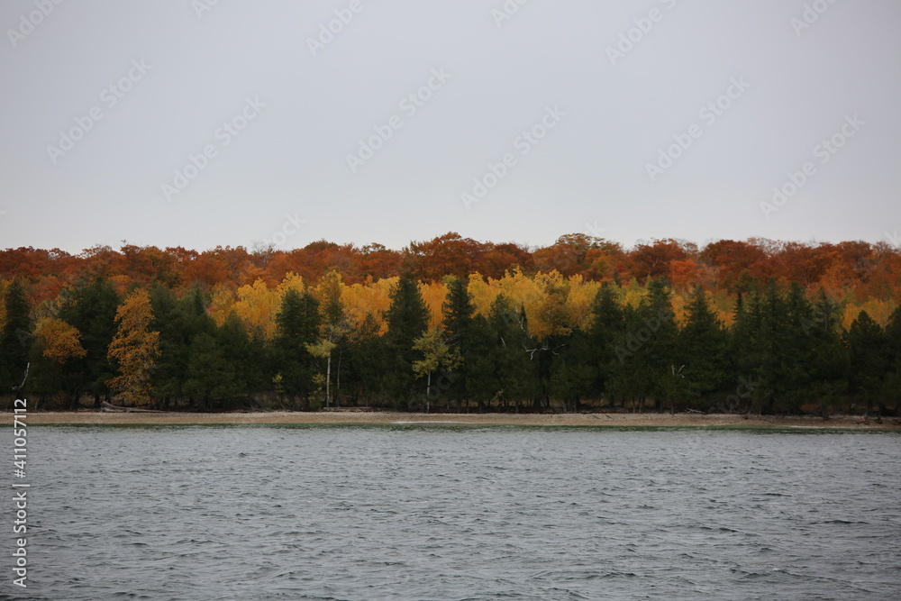 Tree Rows of Autumn Color Tree Rows of Autumn Color