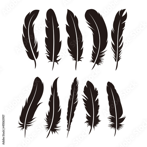 Set of Various Feather Illustration Design, Black Feather Silhouette Template Vector