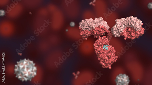 Antibody colored by heavy and light chains against red background with virus and antibody particles; glycosylated immunoglobulin in pink and white 3d rendering photo