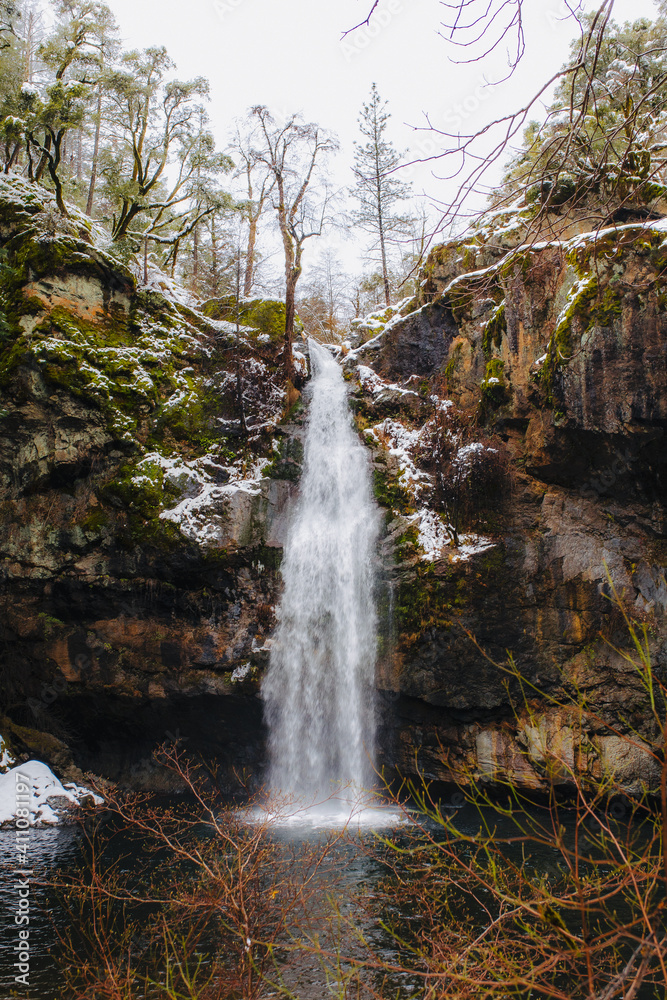 Obraz premium waterfall in the woods