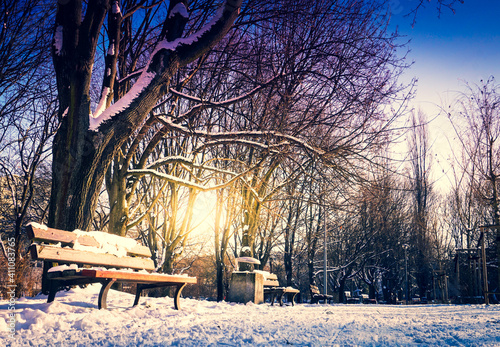 Benches and path in park in winter