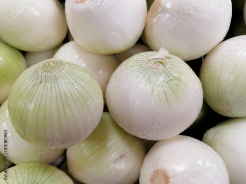 Grupo de cebollas blancas
