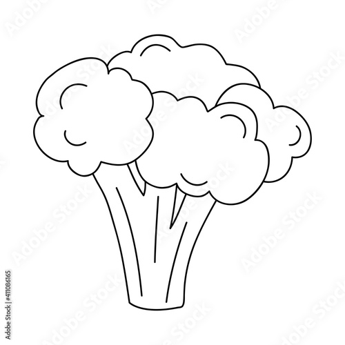 broccoli vegetable icon, line style