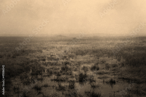 Stylized Foggy Grassland Background with Marsh, Gritty Sepia Texture, and Blank Space