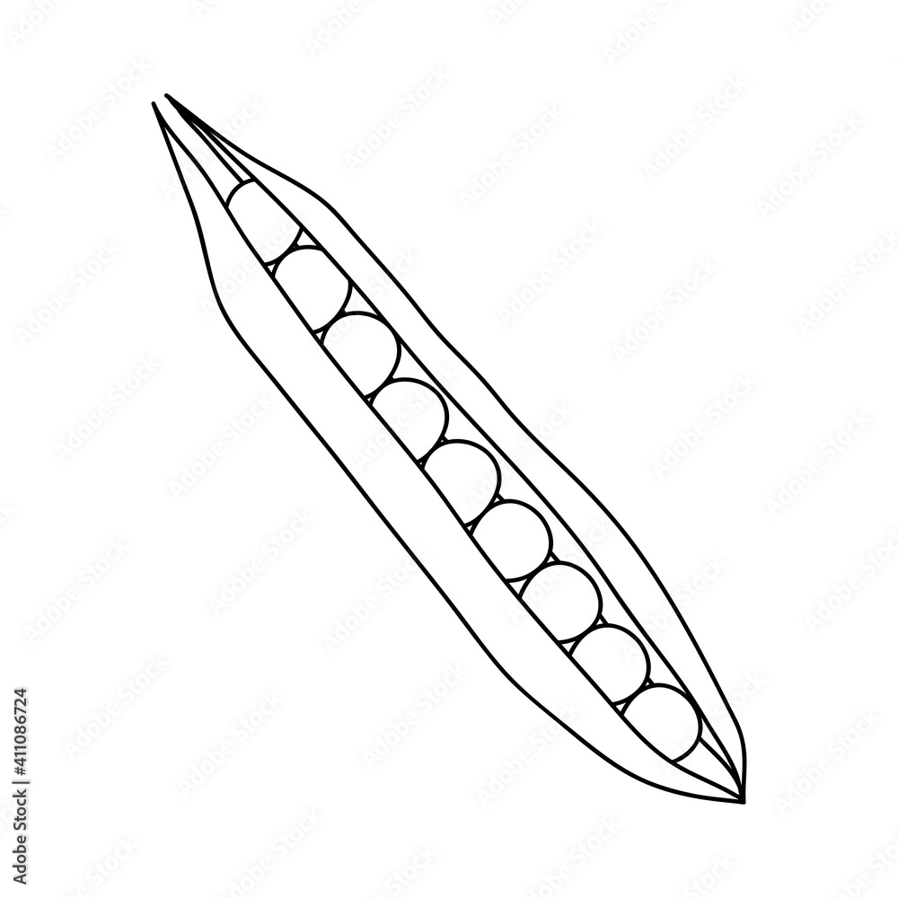 peas in pod icon, line style peas in pod icon, line style