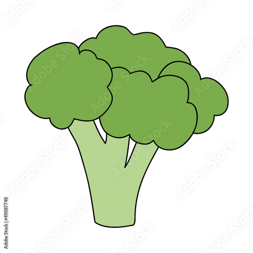 broccoli vegetable icon, flat style