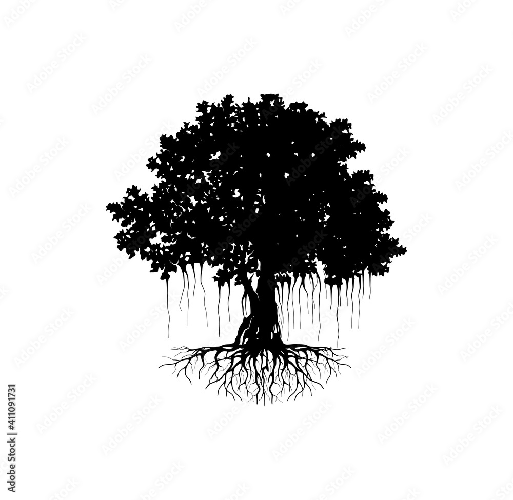 Banyan tree vector silhouette with black on white