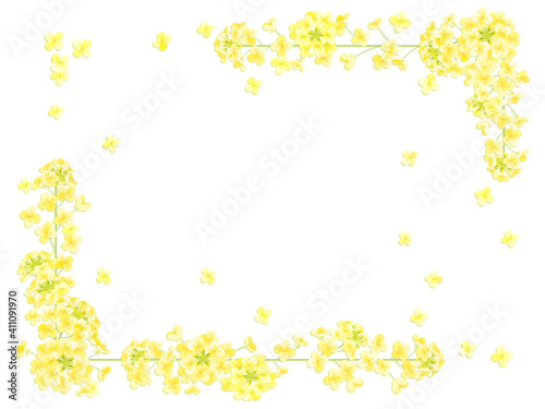 菜の花のフレーム