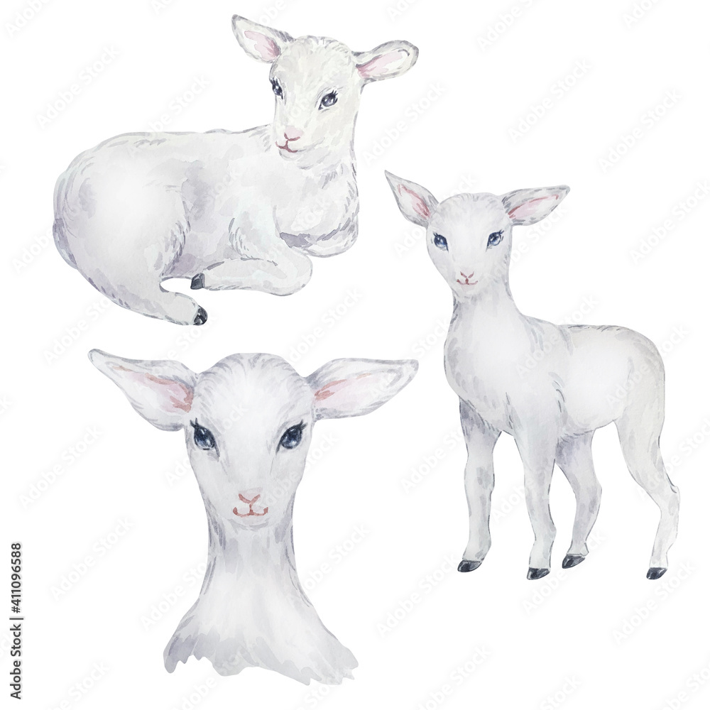 Fototapeta premium Watercolor illustration set of white lamb, Easter image